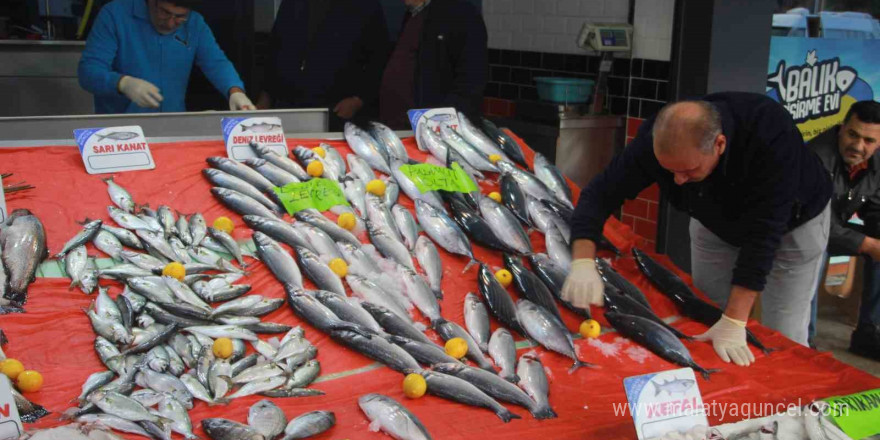 Hava şartları balık fiyatlarını etkiledi