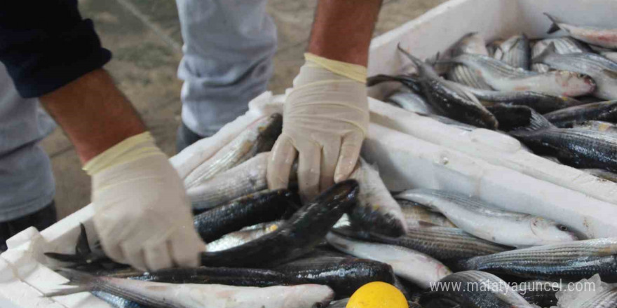 Hava şartları balık fiyatlarını etkiledi