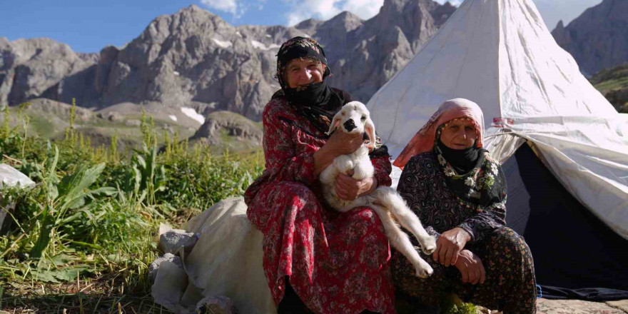 Havalar ısındı, meralar şenlendi