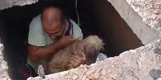 Havuz makine dairesi inşaatına düşen köpeği inşaat çalışanları kurtardı