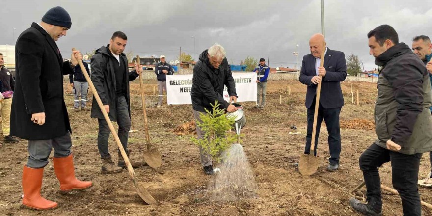 Hayrabolu’da '100. Yıl Cumhuriyet Ormanı' oluşturuldu