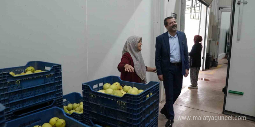 Hayriye teyze Gürsu armudu ile girişimci oldu