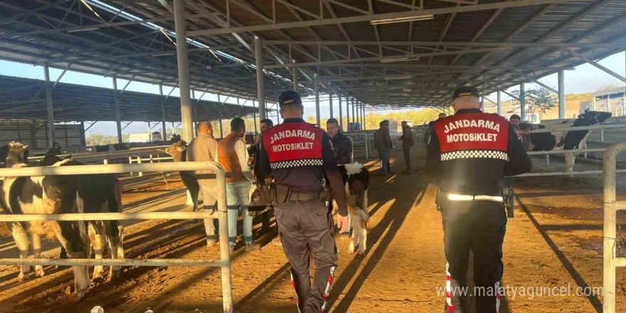 Hayvan pazarında ’dolandırıcılık’ kontrolü