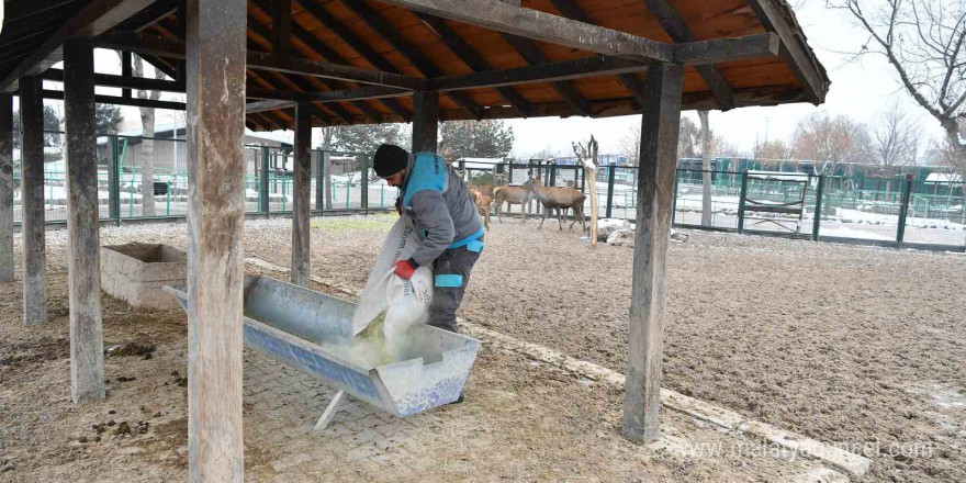 Hayvanat bahçesi misafirlerine kış desteği