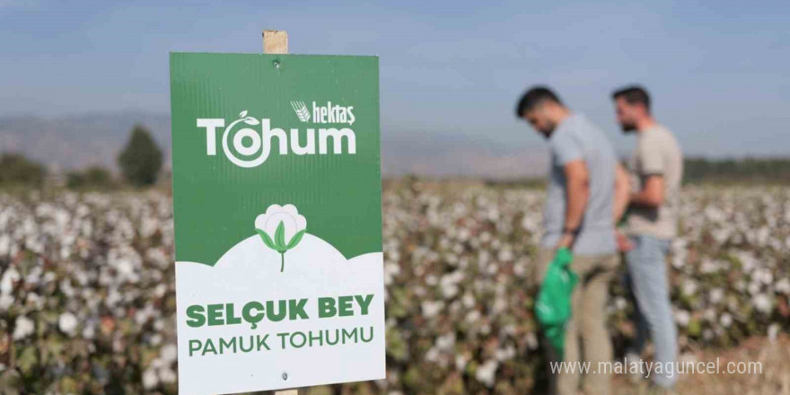 Hektaş’ın hedefi tohumda bağımsızlık