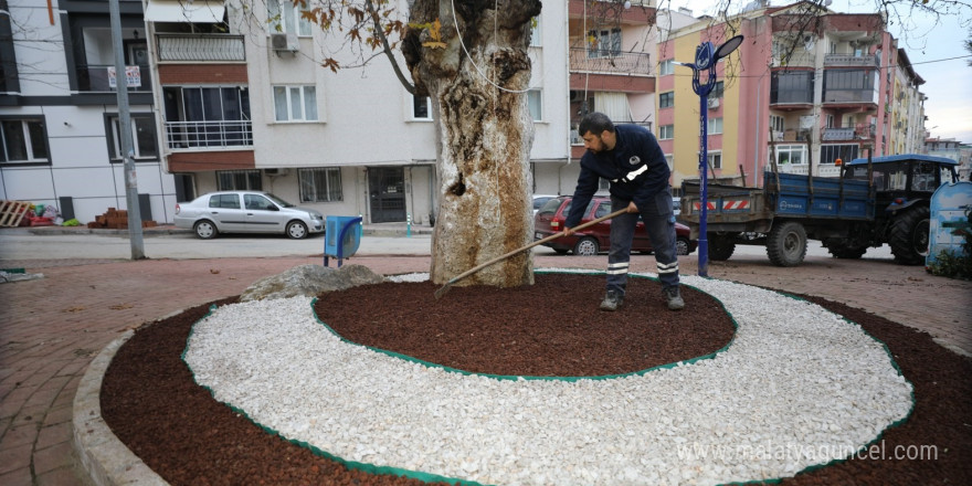 Hem doğaya katkı hem estetik görünüm