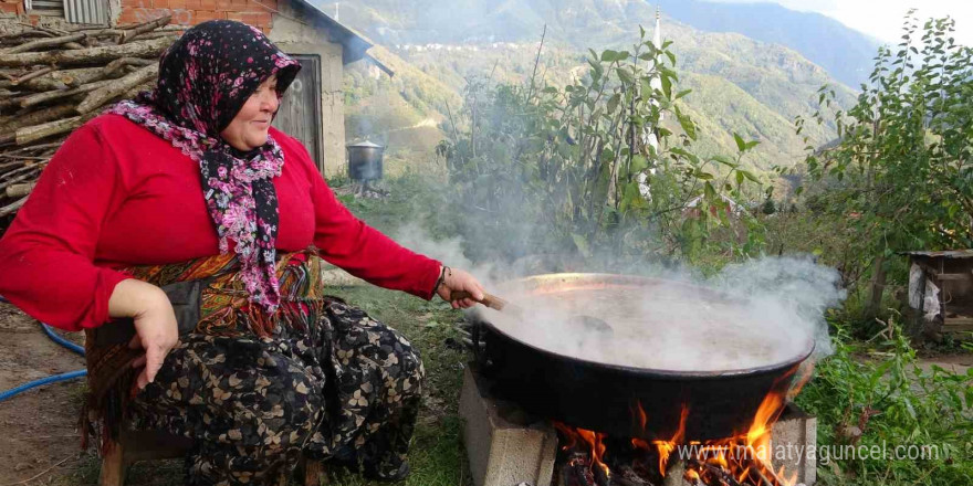 Hem pekmez ihtiyaçlarını karşılıyorlar hem de kendilerine ekonomik gelir sağlıyorlar