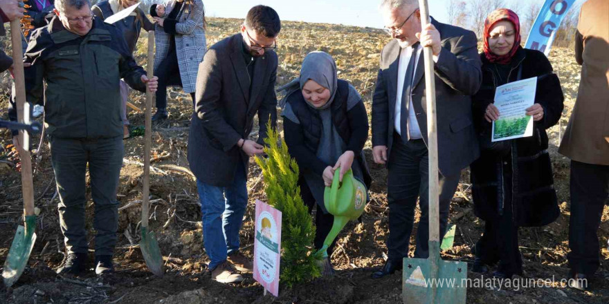 Her bebek bir fidan: Yeni doğan bebekler adına fidan diktiler