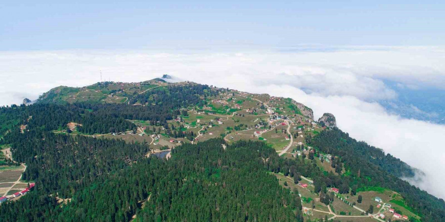 Hıdırnebi Yaylası’nda 2. turizm hareketi başlatılıyor