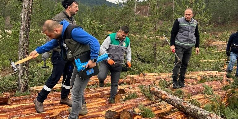 Hisarcık’ta ormandaki ağaçlara barkod uygulaması