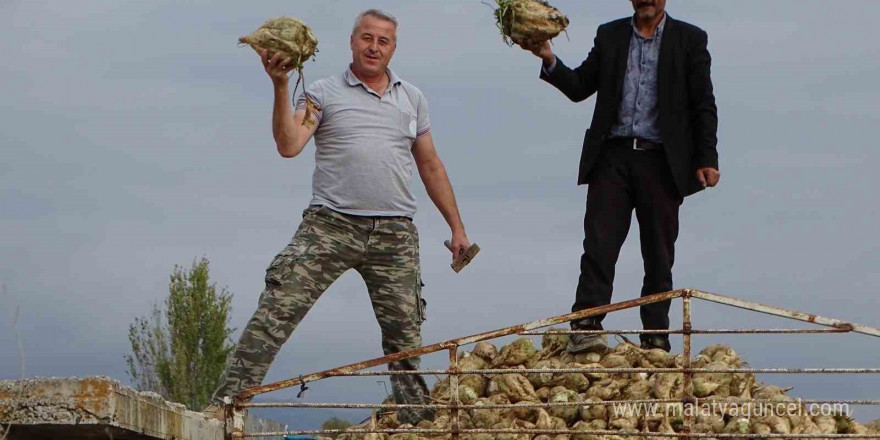 Hisarcık’ta şeker pancarı üretiminde artış