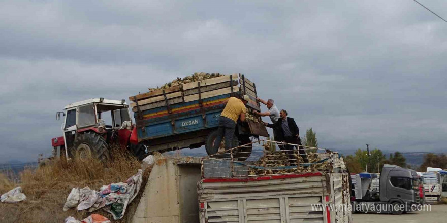 Hisarcık’ta şeker pancarı üretiminde artış