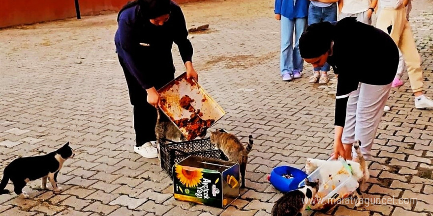 Hisarcık’ta yurt öğrencileri artan yemeklerle kedileri besledi