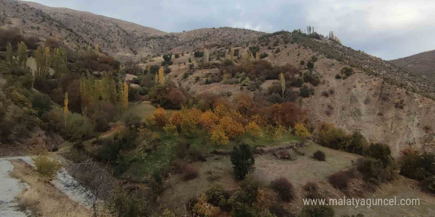 Hizan’da sonbahar güzelliği