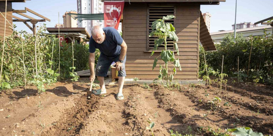 Hobi Parkı, Mersinlilerin uğrak yeri oldu