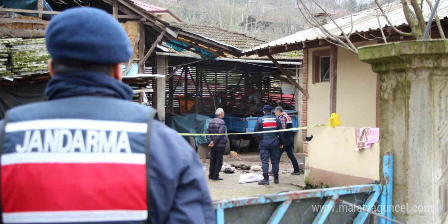 Horozlarının komşuya verildiğini duyunca dehşet saçmıştı, serbest kaldı