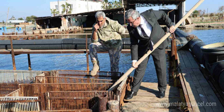 İç piyasada tüketilmeyen mavi yengece yurt dışı talebi