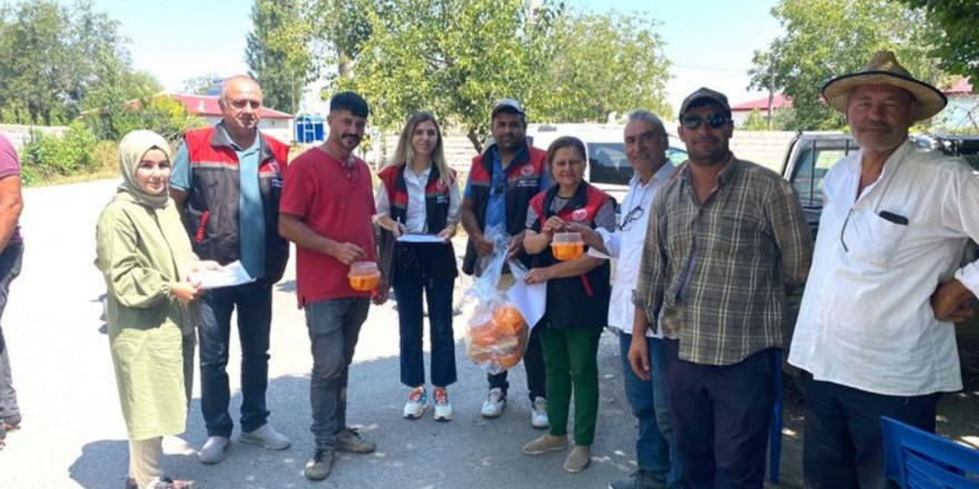 Iğdır’da Akdeniz meyve sineği ile mücadele devam ediyor