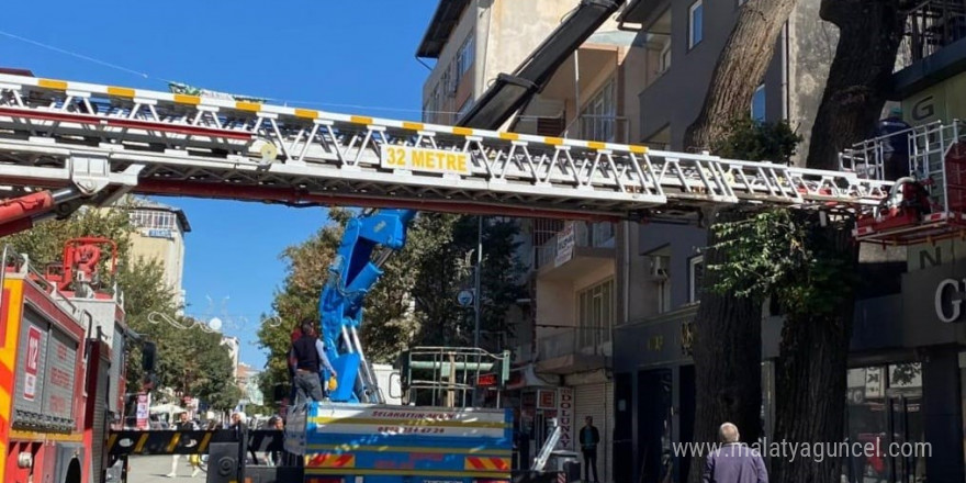 Iğdır’da tehlike arz eden ağaçlara müdahale