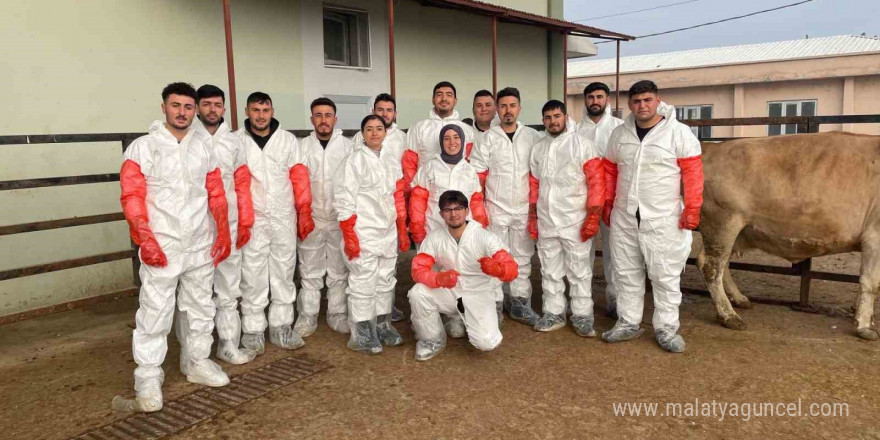 Iğdır’da veteriner sağlık teknisyenlerine suni tohumlama kursu düzenlendi