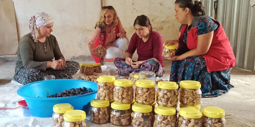 İncirköy Mahallesi’nde hasat dönemi sona erdi