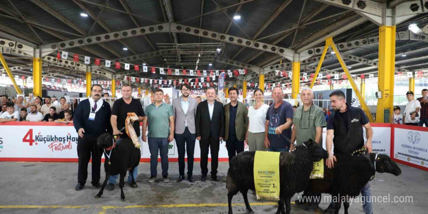 İnegöl’de koç ve tavuklar kıyasıya yarıştı