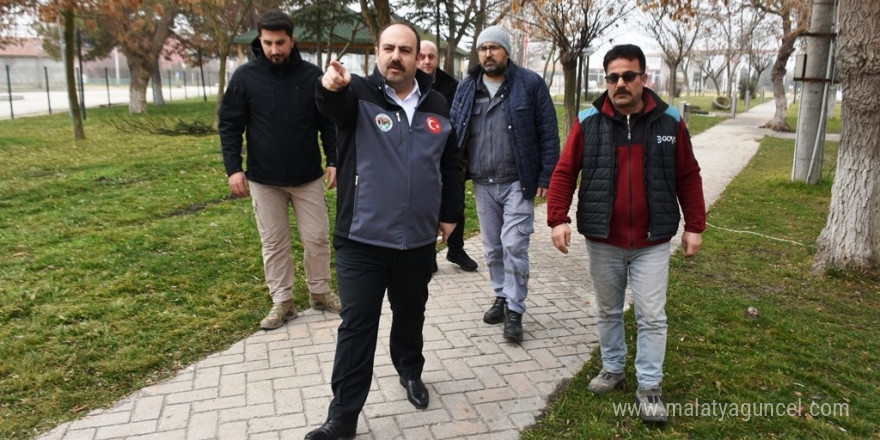 İnönü’deki yoğun ilgi gören parka yeni kamelyalar geliyor