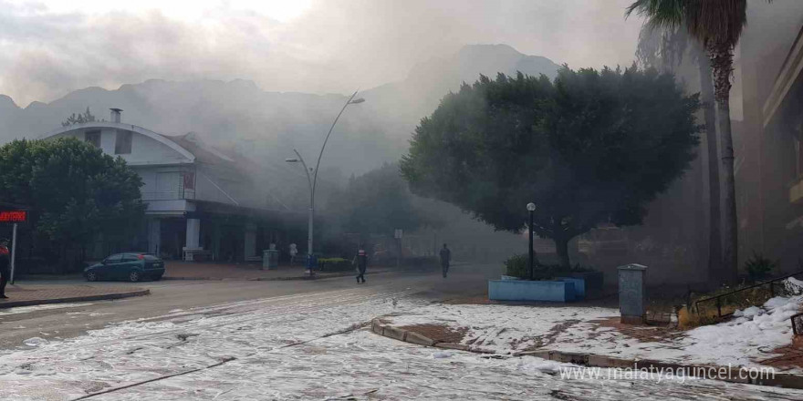 İş yerinden palmiyeye sıçrayan yangın korkuttu