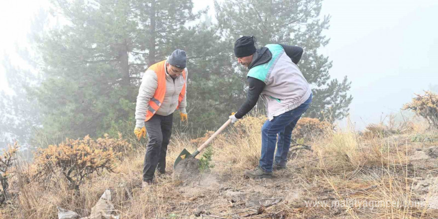 Isparta Belediyesi Gölcük Tabiat Parkı’nda fidanlar toprakla buluşturuldu