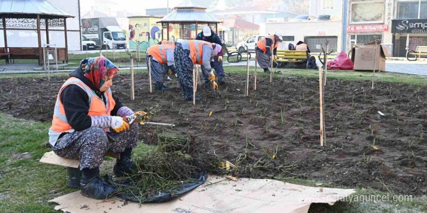 Isparta Belediyesi’nden Gölcük Tabiat Parkı’na destek: 10 bin akasya fidanı dikiliyor