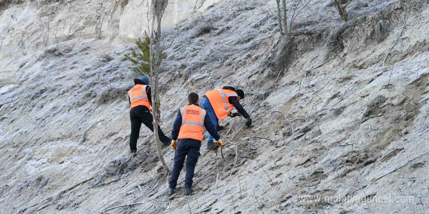 Isparta Belediyesi’nden Gölcük Tabiat Parkı’na destek: 10 bin akasya fidanı dikiliyor