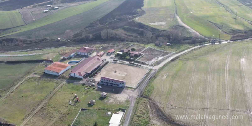 İstanbul’da jandarma aracının çalındığı at çiftliği böyle görüntülendi