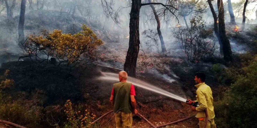 İzmir Büyükşehir, orman yangınları için teyakkuza geçti