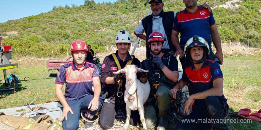 İzmir İtfaiyesi’nden yürekleri ısıtan kurtarma operasyonu