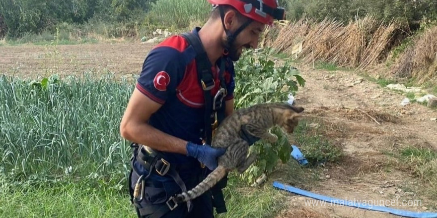 İzmir’de kuyuya düşen kediyi itfaiye kurtardı