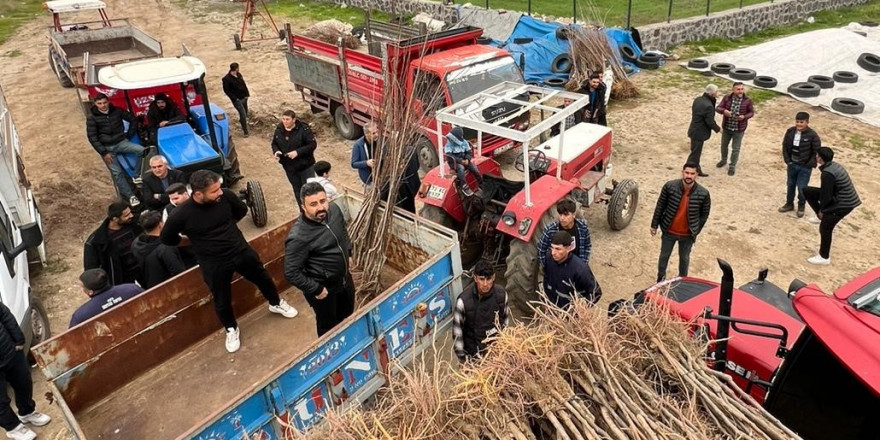 İzmirli iş adamından Cizreli çiftçilere meyve fidesi desteği