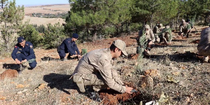 Jandarma 100. yıla özel 100 fidan dikti