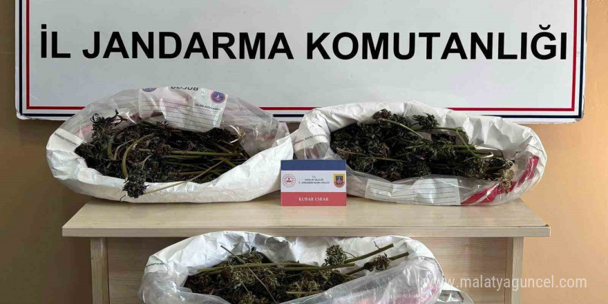 Jandarma 627 gram kubar esrar ele geçirdi