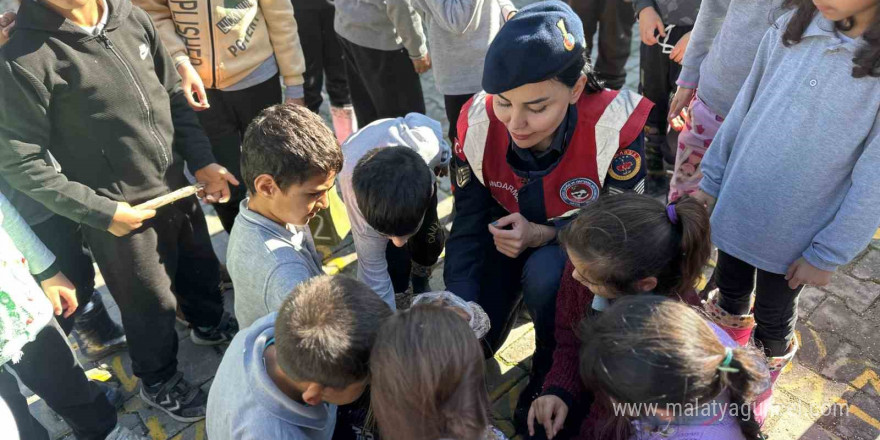 Jandarma, miniklere hayvan sevgisini aşıladı