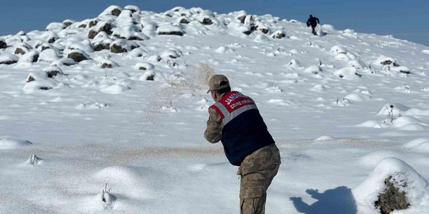 Jandarma yaban hayvanlarını unutmadı