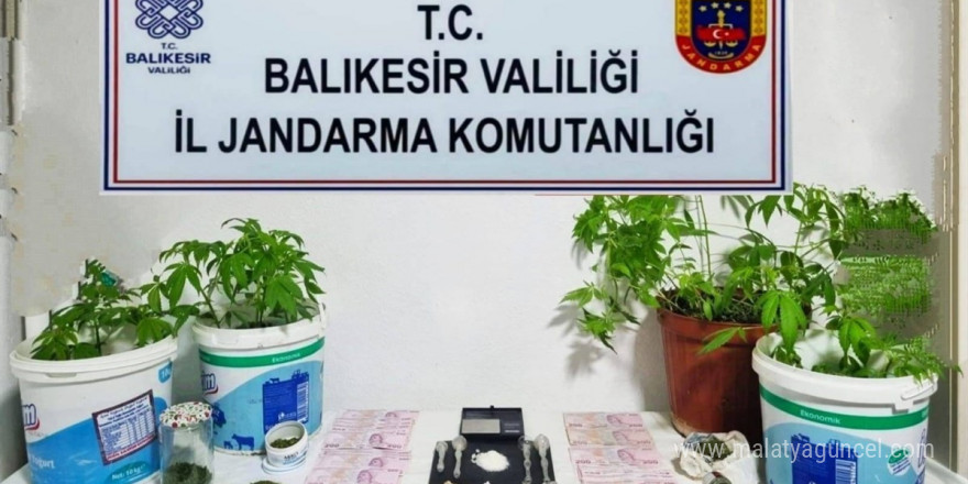 Jandarma’dan 6 ilçede uyuşturucu operasyonu