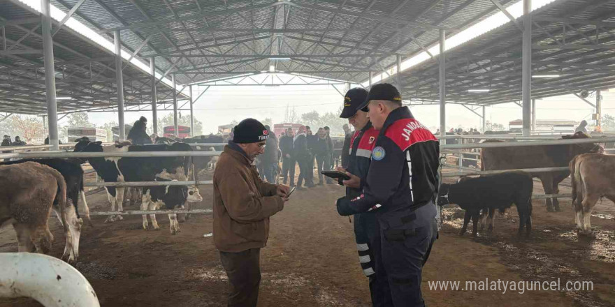 Jandarmadan, hayvan pazarında ’dolandırıcı’ denetimi