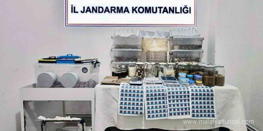 Jandarmadan operasyon: 110 milyon TL değerinde 22 kilo uyuşturucu ele geçirildi