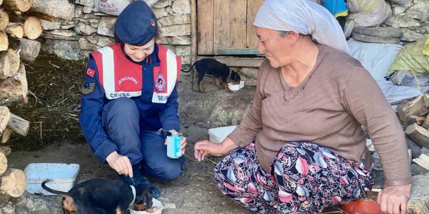 Jandarma’dan sokak hayvanları için ‘Bir gün değil, her gün’ mesajı