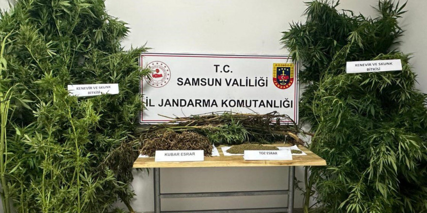 Jandarmadan uyuşturucu operasyonu: 2 gözaltı