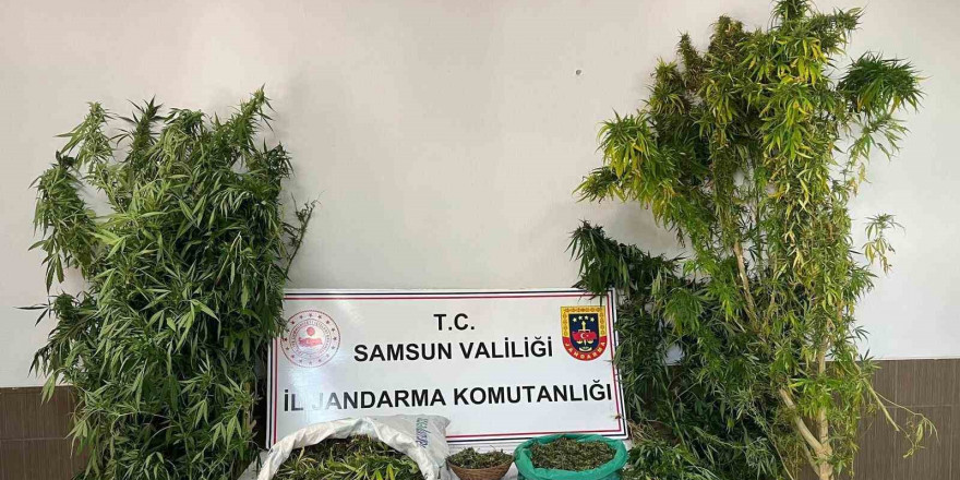 Jandarmadan uyuşturucu operasyonu