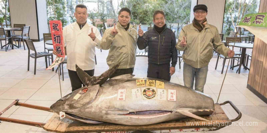 Japonya’daki yeni yıl mezatı: 276 kiloluk mavi yüzgeçli orkinos 1,3 milyon dolara satıldı