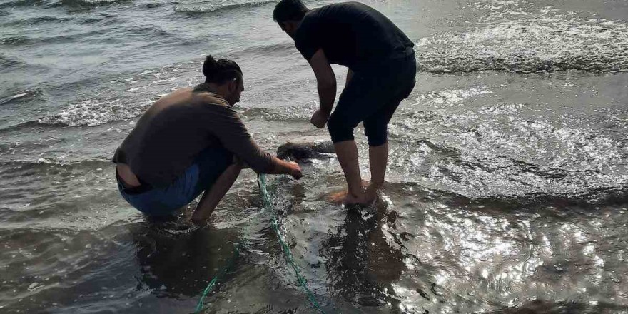 Kaçak ağa takılan deniz kaplumbağası kurtarıldı