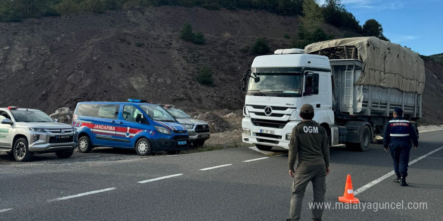 Kaçak orman emvali ile ilgili denetimler sürüyor