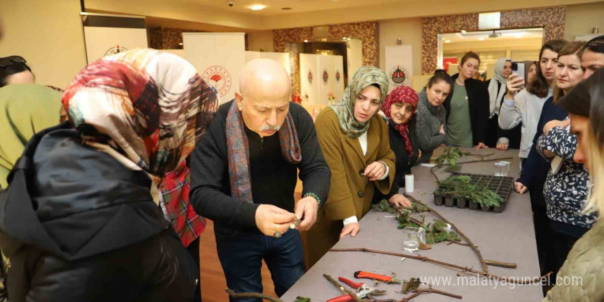 Kadın çiftçilere budaması anlatıldı